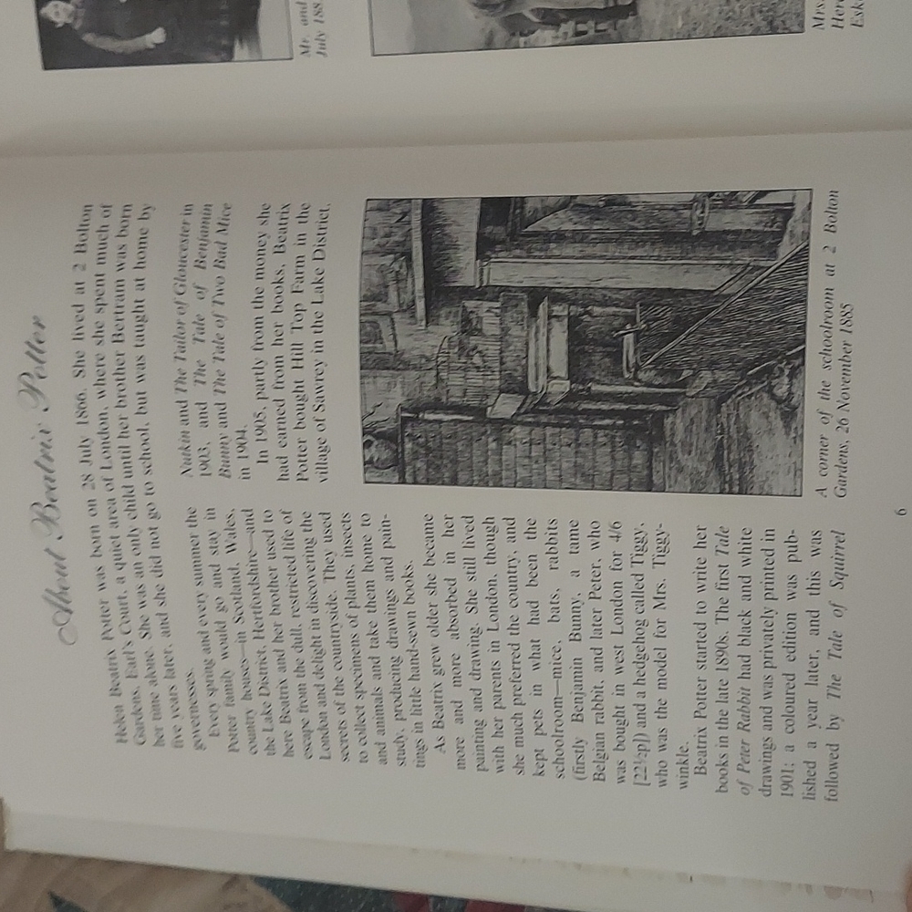 The Big Peter Rabbit Book - Picture 10 of 16